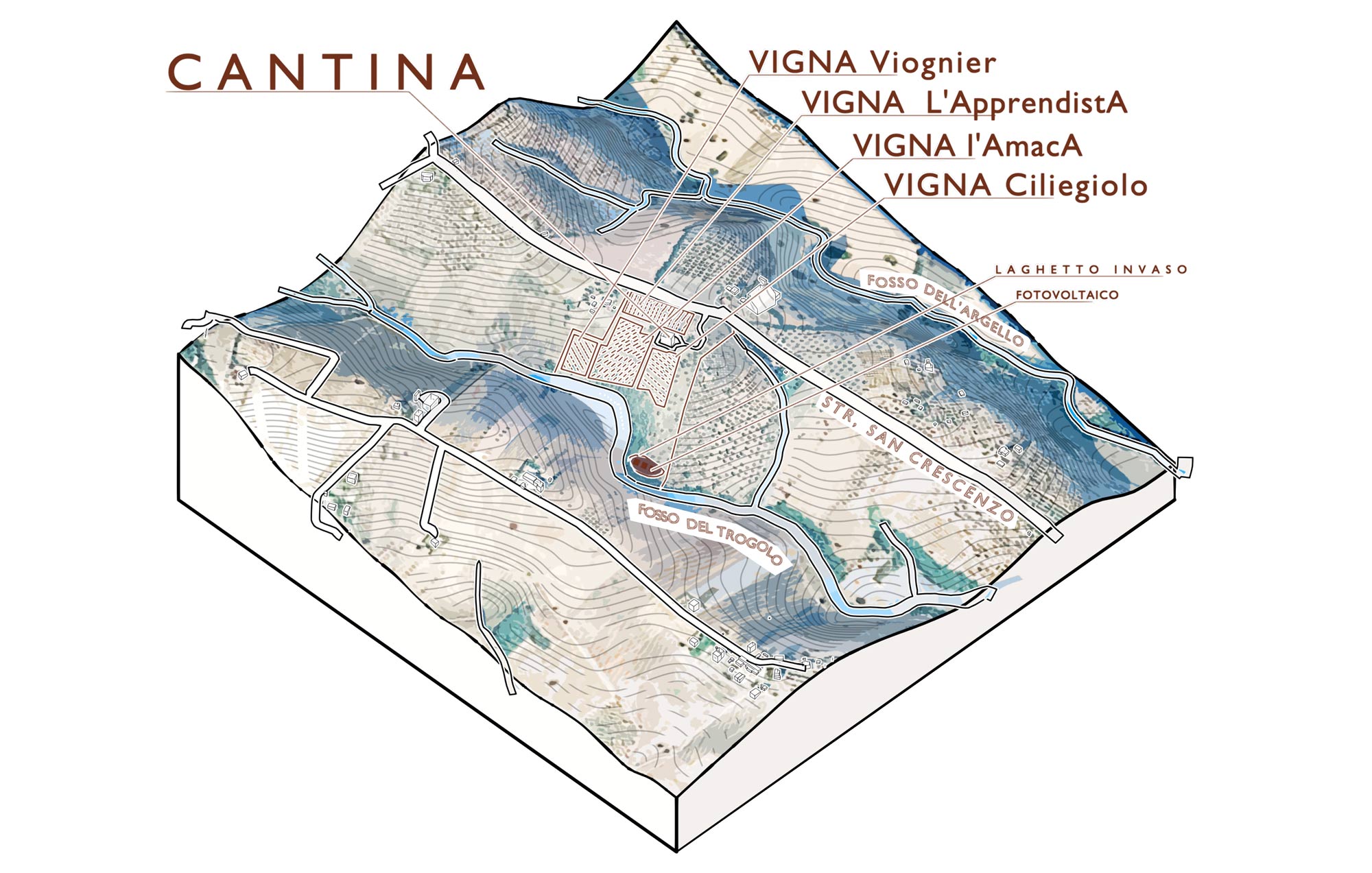mappa Image